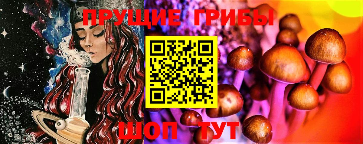 Галлюциногенные грибы Psilocybine cubensis Вязники