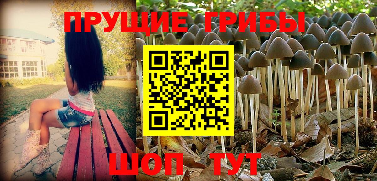 Галлюциногенные грибы Psilocybine cubensis  Вход с VPN  Вязники 